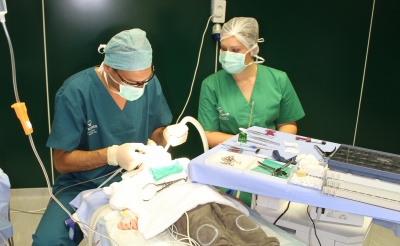dentalmed 025 400 Anestezie generala stomatologie copii EXCLUSIV in SPITAL