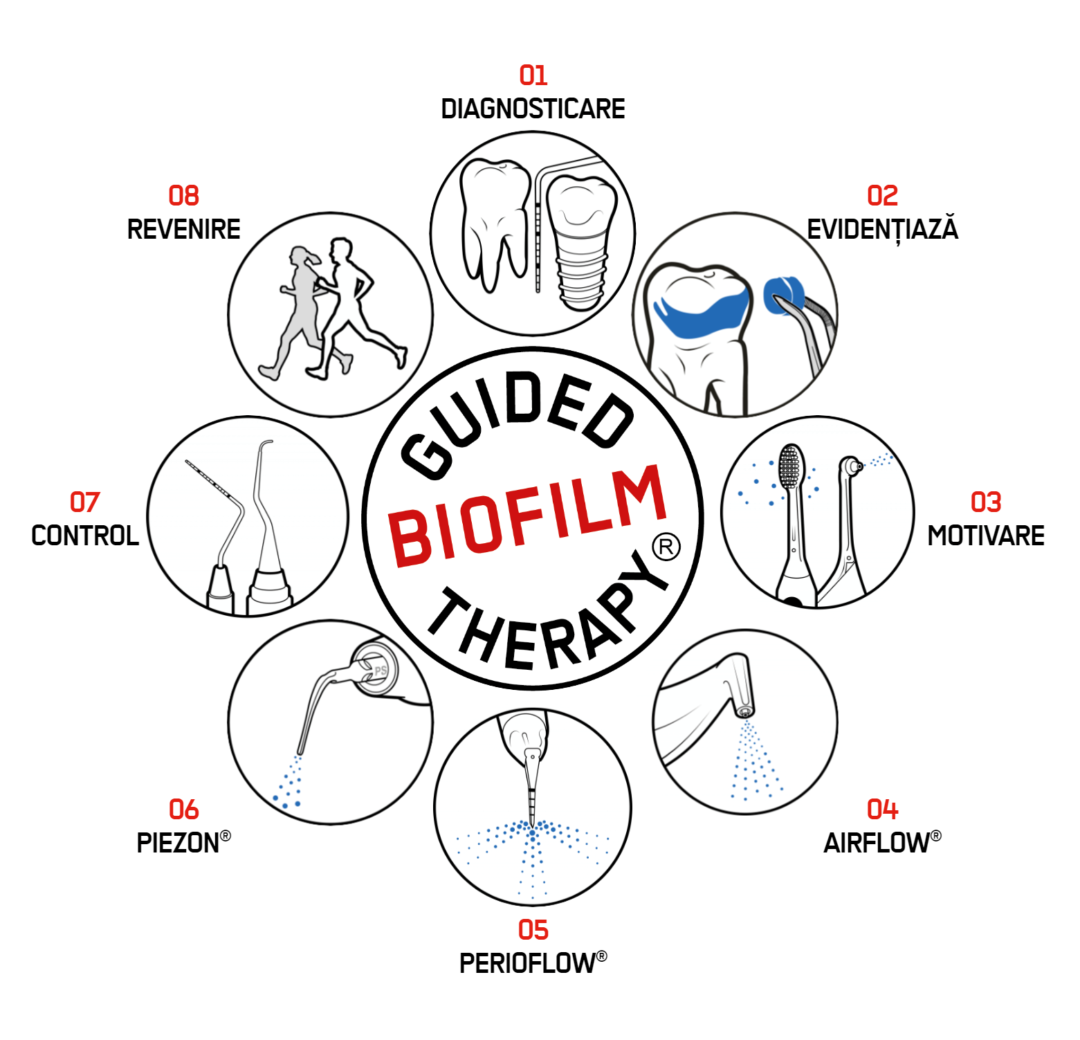 EMS chart ro Protocolul Guided Biofilm Therapy (GBT) – Tratamentul ghidat al placii bacteriene