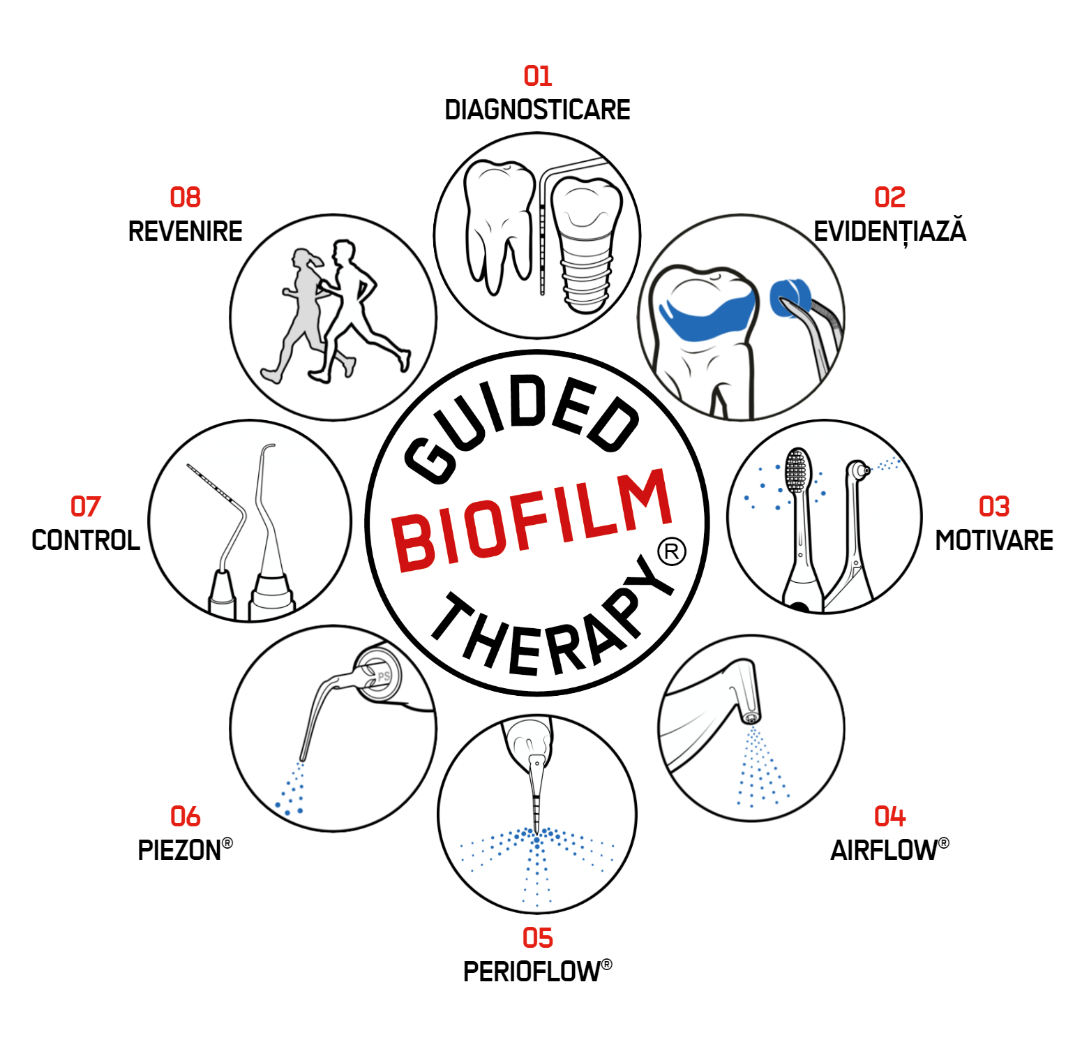 EMS chart ro Protocolul elvetian de igienizare dentara GBT (Guided Biofilm Therapy) - terapia ghidata a biofilmului