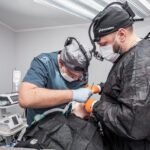 Implant dentar rapid: cum să ai dinți ficși în 24 de ore 2 implant dentar rapid 1 Implant dentar rapid: cum să ai dinți ficși în 24 de ore