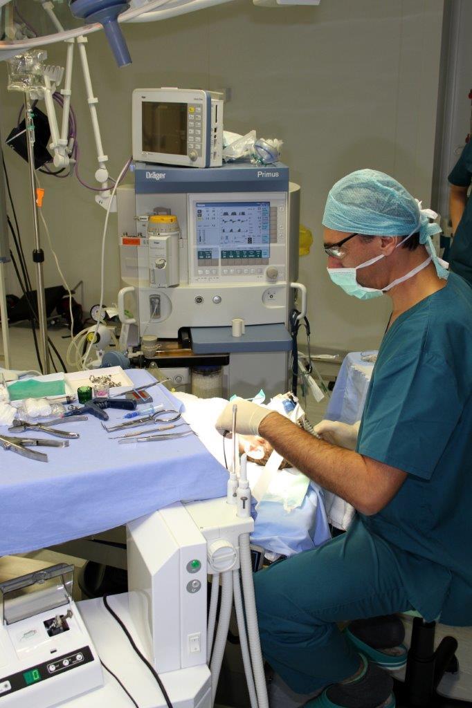 chirurgie pentru anestezia prostatitei